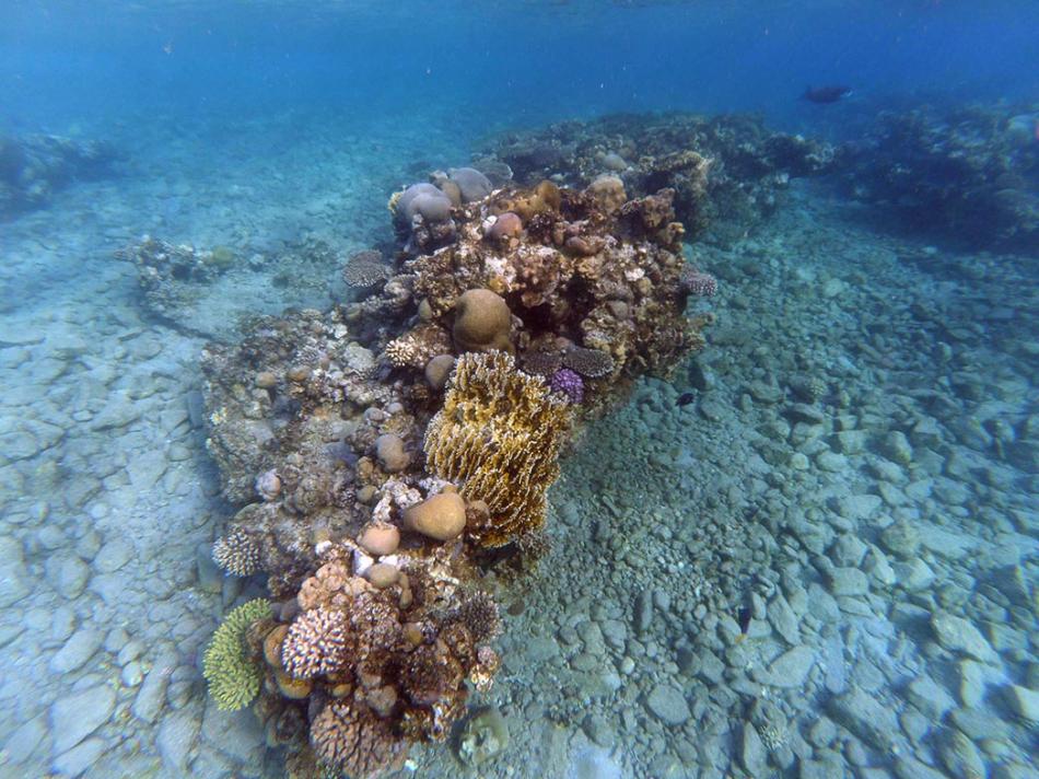 Коралловый пляж (Coral Beach)