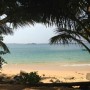 jungl beach